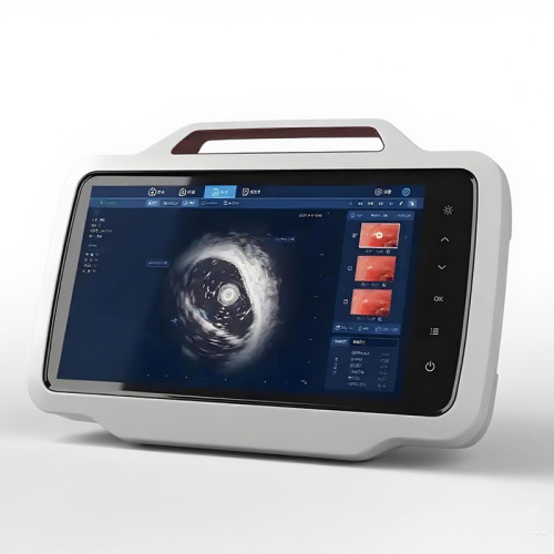 Dual Screen Same Display Portable Host