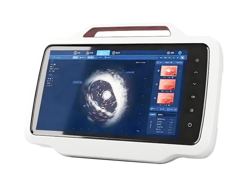 Dual Screen Same Display Portable Host